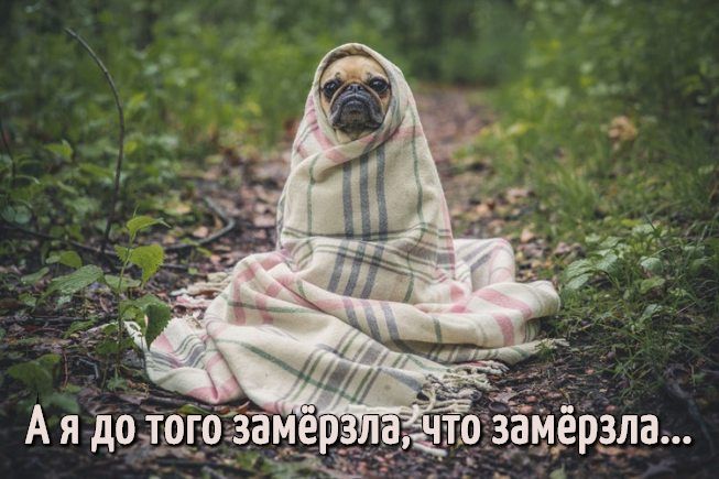 Цитаты про холод