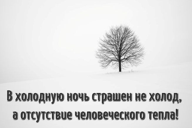 Цитаты про холод
