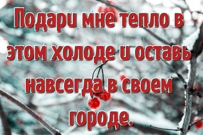 Цитаты про холода