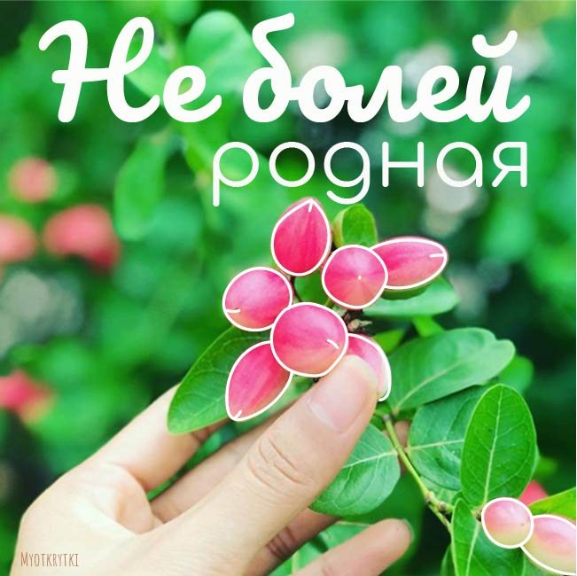 Не болей родная