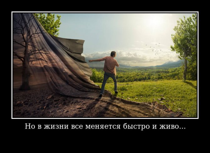 Но в жизни все меняется быстро и живо...