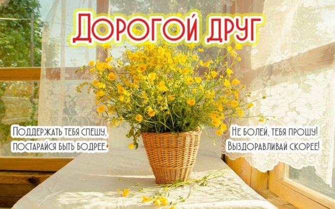 Открытка Дорогой друг, поправляйся