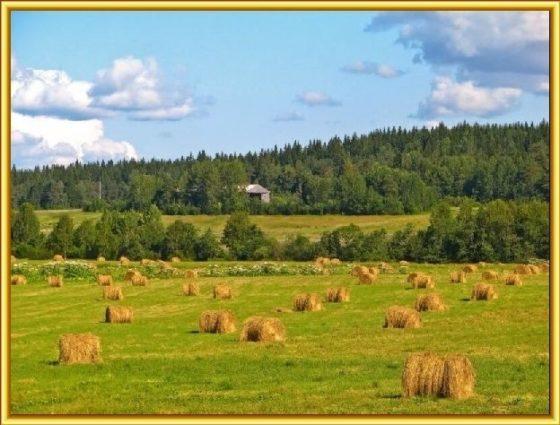 Последние дни лета