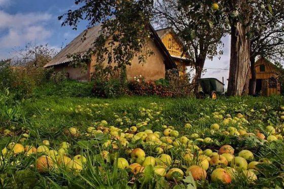 Последние дни лета