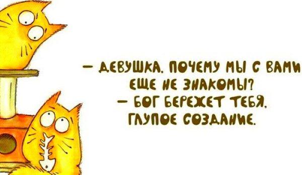 Прикольные фразы для общения с девушкой, парнем в интернете, по СМС
