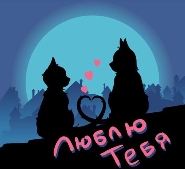 Признание в любви жене