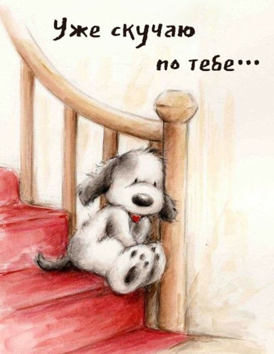 Признание в любви жене