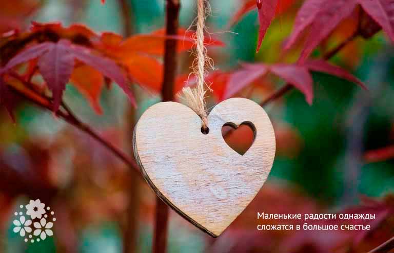 Радость в мелочах – цитаты