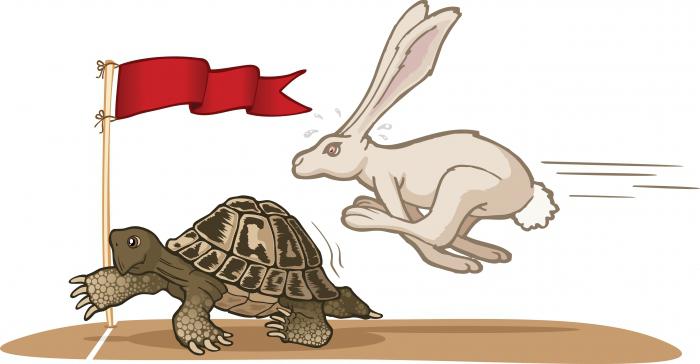 тише едешь дальше будешь