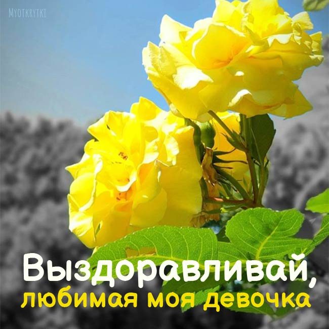 Выздоравливай любимая моя девочка картинки