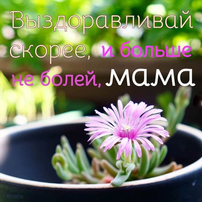 Выздоравливай мама