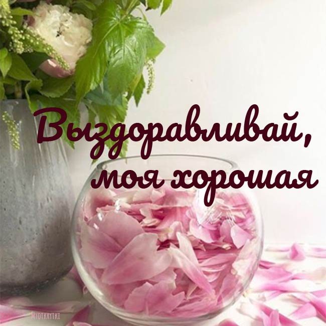Выздоравливай моя хорошая
